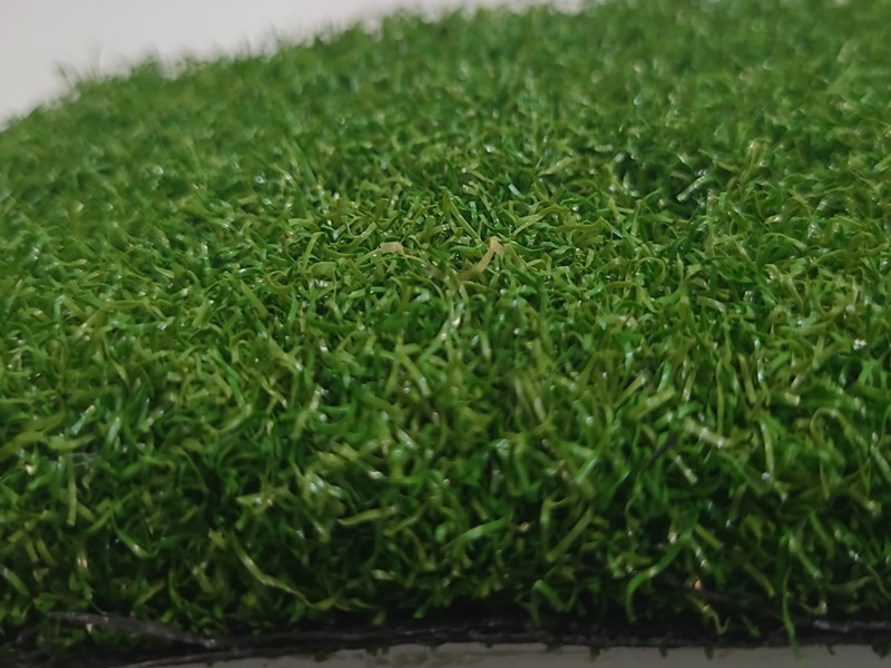 11 mm Padel Golf Sahası Çimi