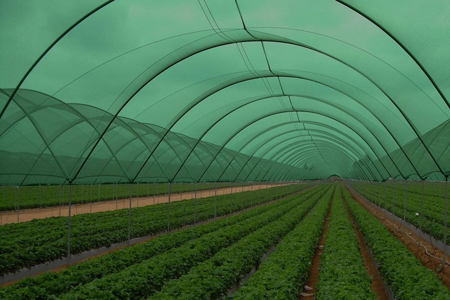 Sera Gölgeleme Filesi